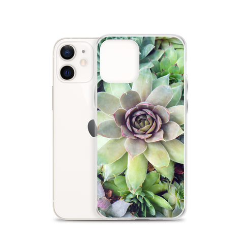 Succulent Garden iPhone Case