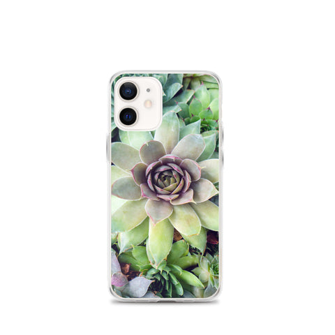Succulent Garden iPhone Case