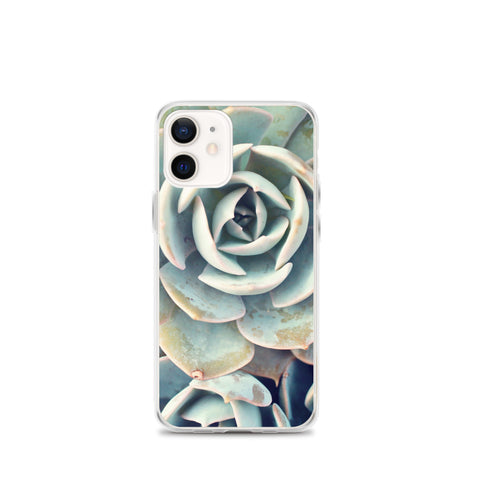 Succulent iPhone Case