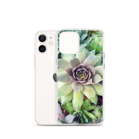 Succulent Garden iPhone Case