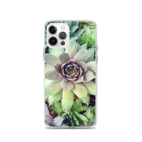 Succulent Garden iPhone Case