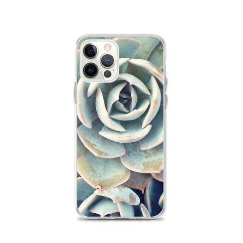 Succulent iPhone Case