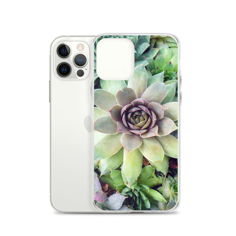 Succulent Garden iPhone Case