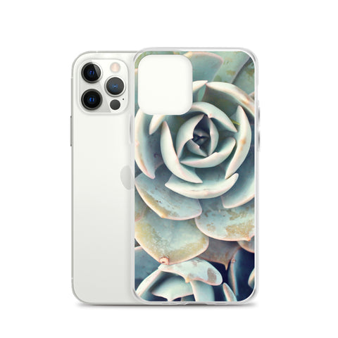Succulent iPhone Case