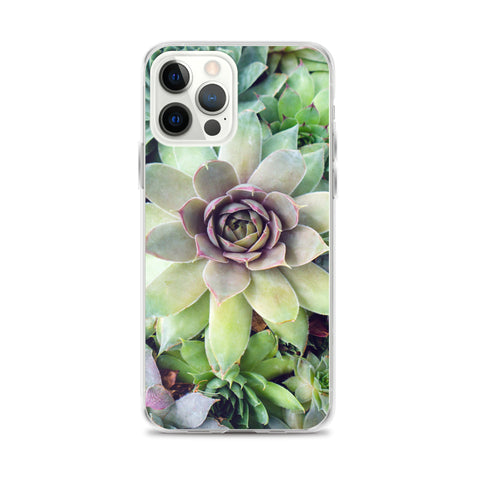 Succulent Garden iPhone Case