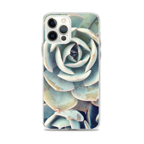 Succulent iPhone Case