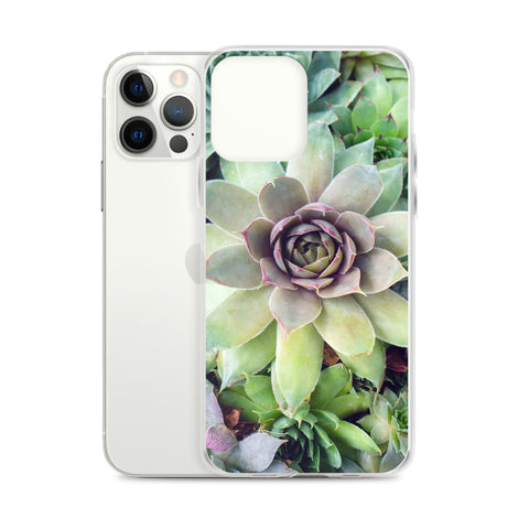 Succulent Garden iPhone Case