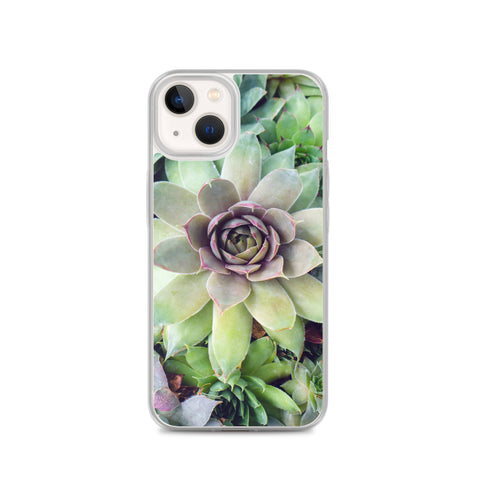 Succulent Garden iPhone Case
