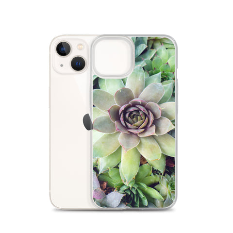 Succulent Garden iPhone Case