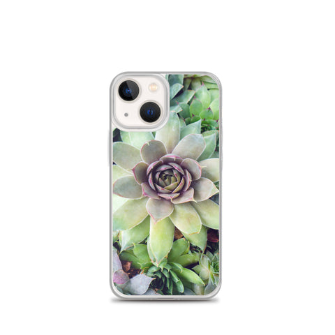 Succulent Garden iPhone Case