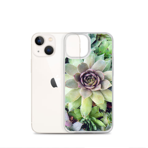 Succulent Garden iPhone Case