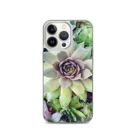 Succulent Garden iPhone Case