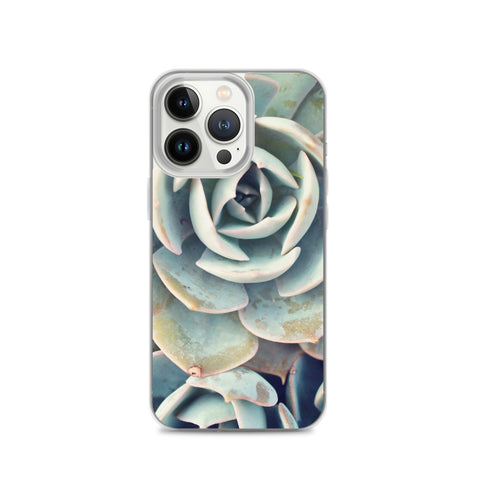 Succulent iPhone Case