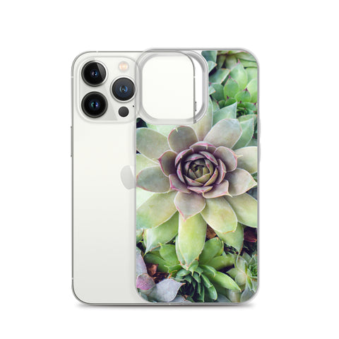 Succulent Garden iPhone Case