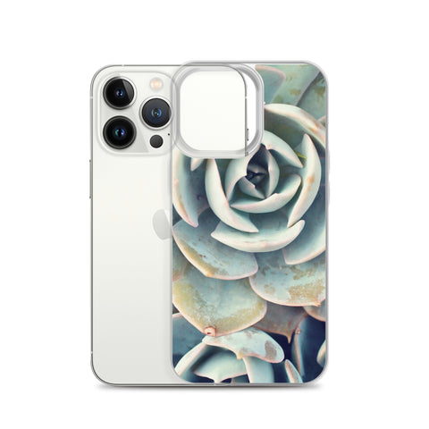 Succulent iPhone Case