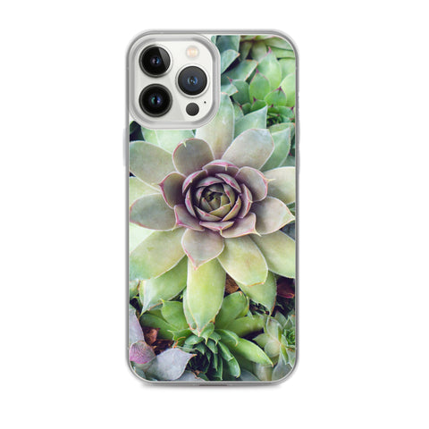 Succulent Garden iPhone Case