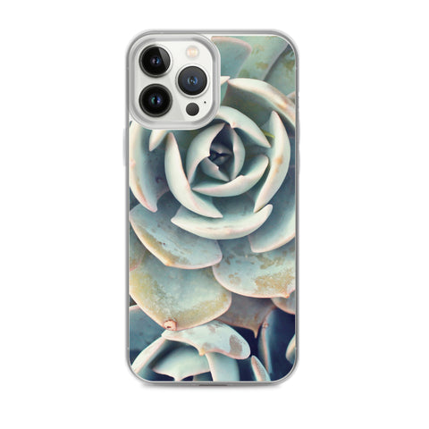 Succulent iPhone Case