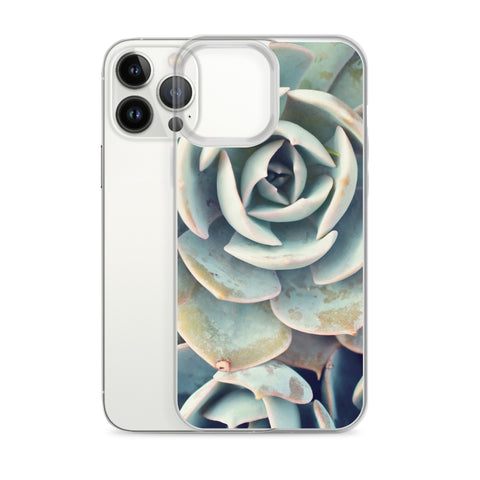 Succulent iPhone Case
