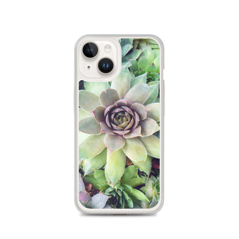 Succulent Garden iPhone Case