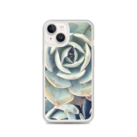 Succulent iPhone Case