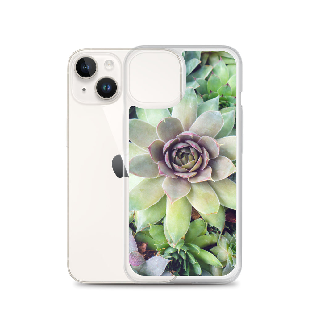 Succulent Garden iPhone Case