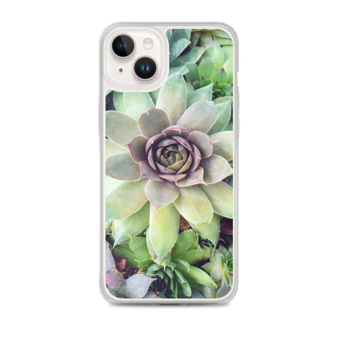 Succulent Garden iPhone Case