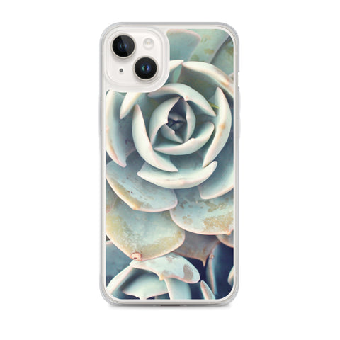 Succulent iPhone Case