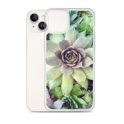 Succulent Garden iPhone Case