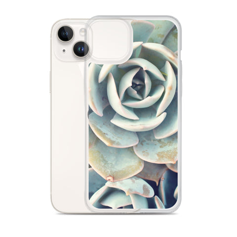 Succulent iPhone Case