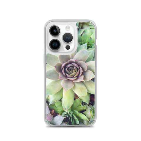 Succulent Garden iPhone Case