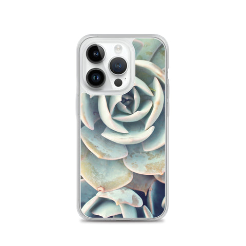 Succulent iPhone Case
