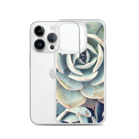 Succulent iPhone Case