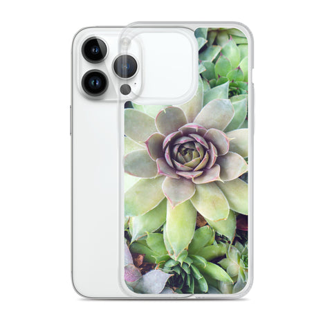 Succulent Garden iPhone Case