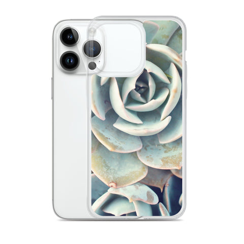 Succulent iPhone Case