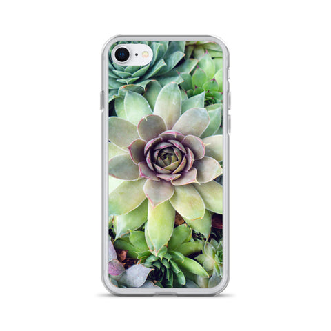 Succulent Garden iPhone Case