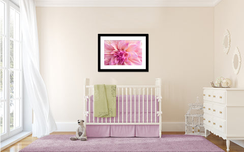Flower Photography, Fine Art Photography, Dahlia Photo, Botanical Photography - april bern art & photography