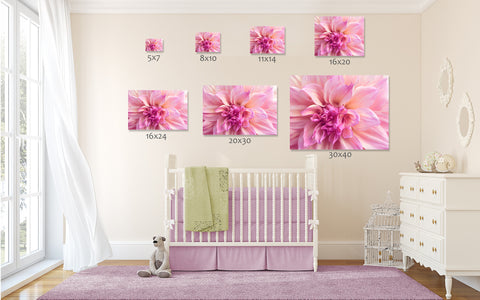 Flower Photography, Fine Art Photography, Dahlia Photo, Botanical Photography - april bern art & photography