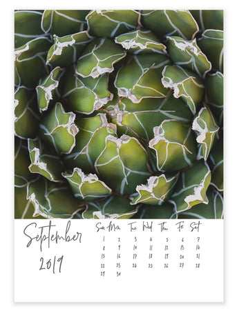 5x7 2019 Desk Calendar Template - DIY Calendar, Instant Download - april bern art & photography