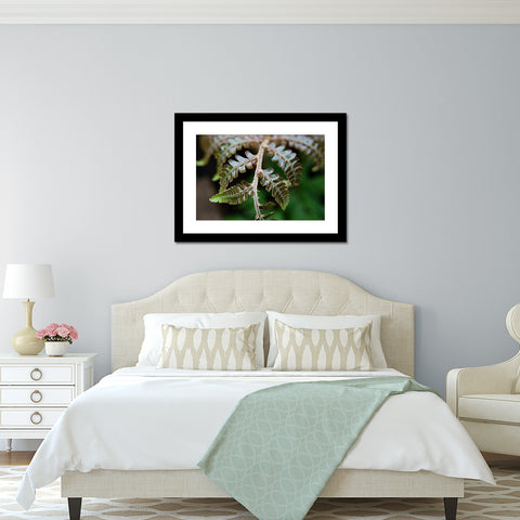 Fern Photography, Green Wall Decor, Nature Photo - april bern art & photography
