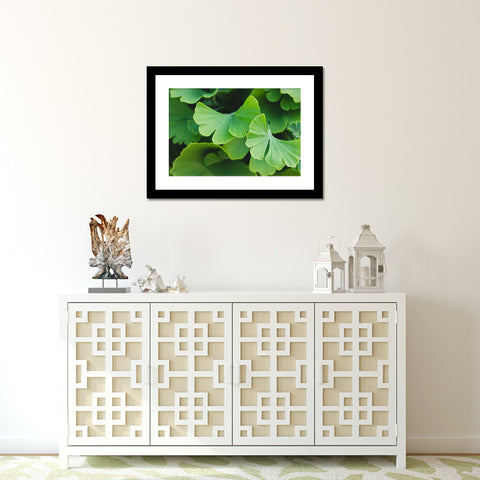 Ginko Leaves Botanical Art - april bern art & photography