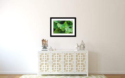 Ginko Leaves Botanical Art - april bern art & photography