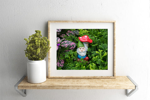 Whimsical Garden Gnome Fine Art Print - april bern art & photography