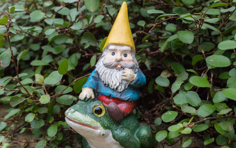 Whimsical Art - Garden Gnome Fine Art Print - april bern art & photography