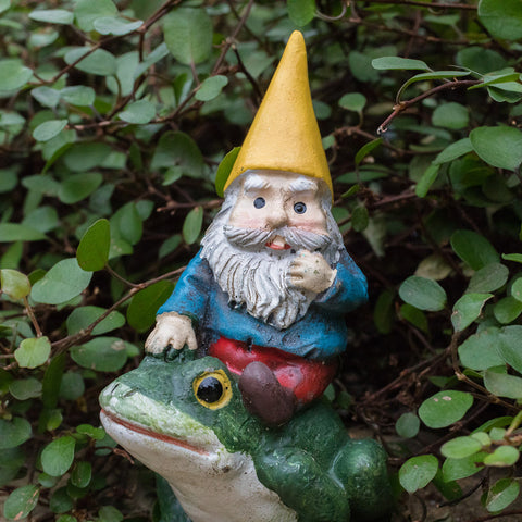 Whimsical Art - Garden Gnome Fine Art Print - april bern art & photography