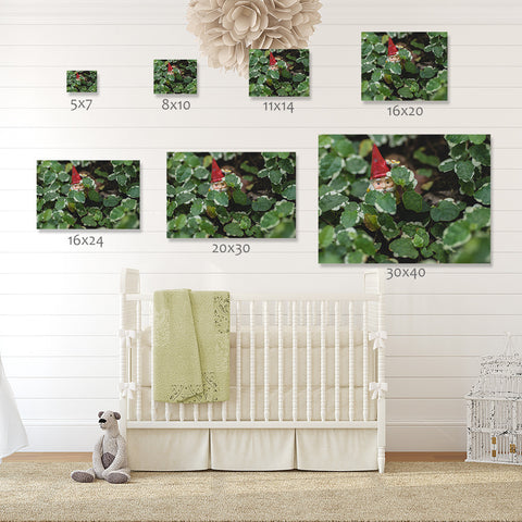 Garden Gnome Fine Art Print - Hide and Seek - april bern art & photography