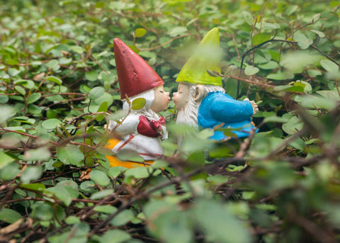Valentines Day Kissing Garden Gnome Blank Greeting Card - april bern photography