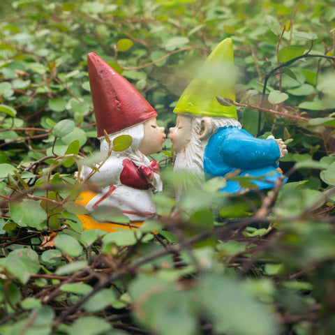 Valentines Day Kissing Garden Gnome Blank Greeting Card - april bern photography