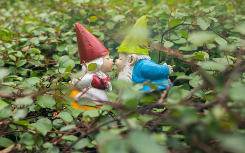 Gnome Kisses - Garden Gnome Print - april bern art & photography