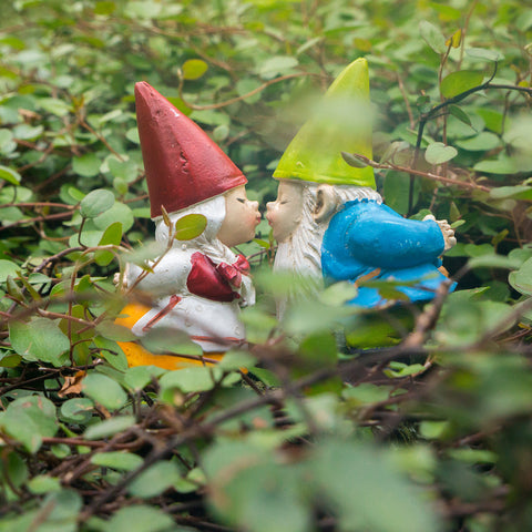 Gnome Kisses - Garden Gnome Print - april bern art & photography