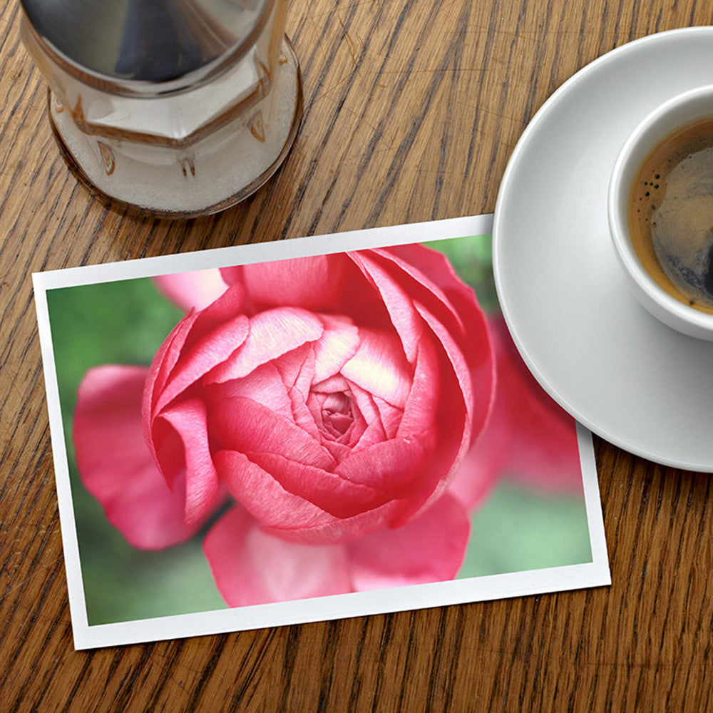 Set of 5 Assorted Floral Notecard - Any Occasion Blank Flower Greeting Cards - april bern art & photography